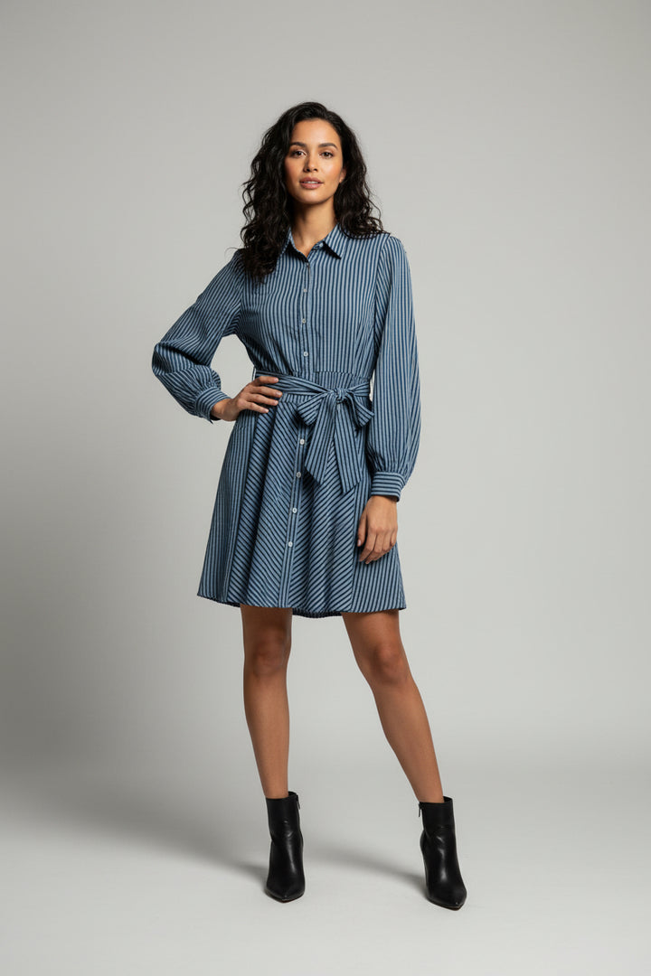 LONG SLEEVE BUTTON DOWN STRIPED MINI DRESS WITH POCKETS