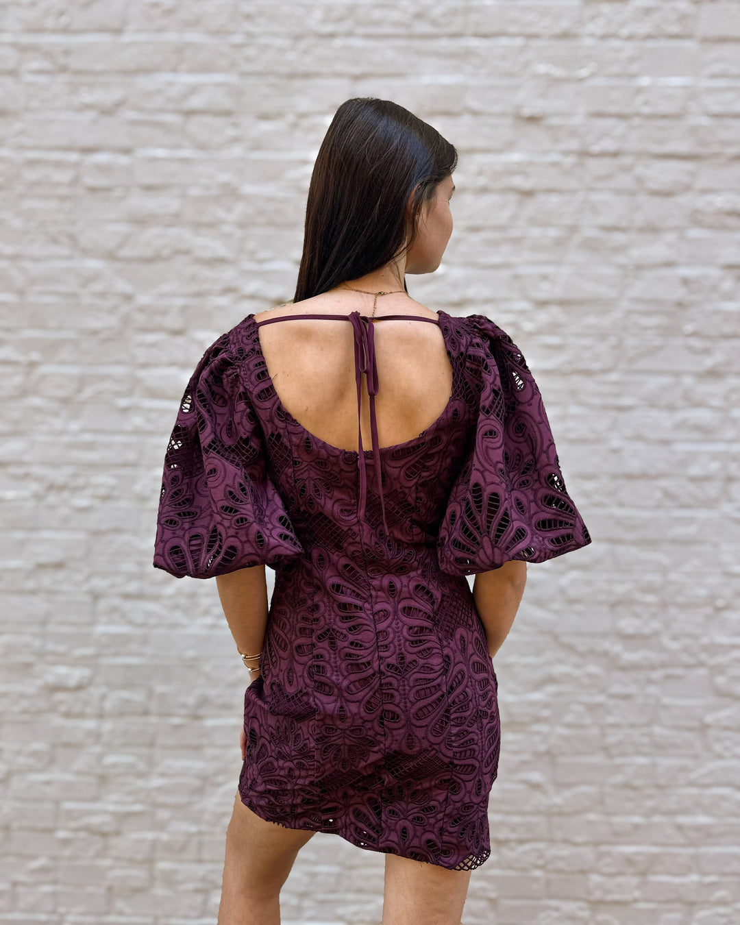 Embroidered Lace Mini Dress