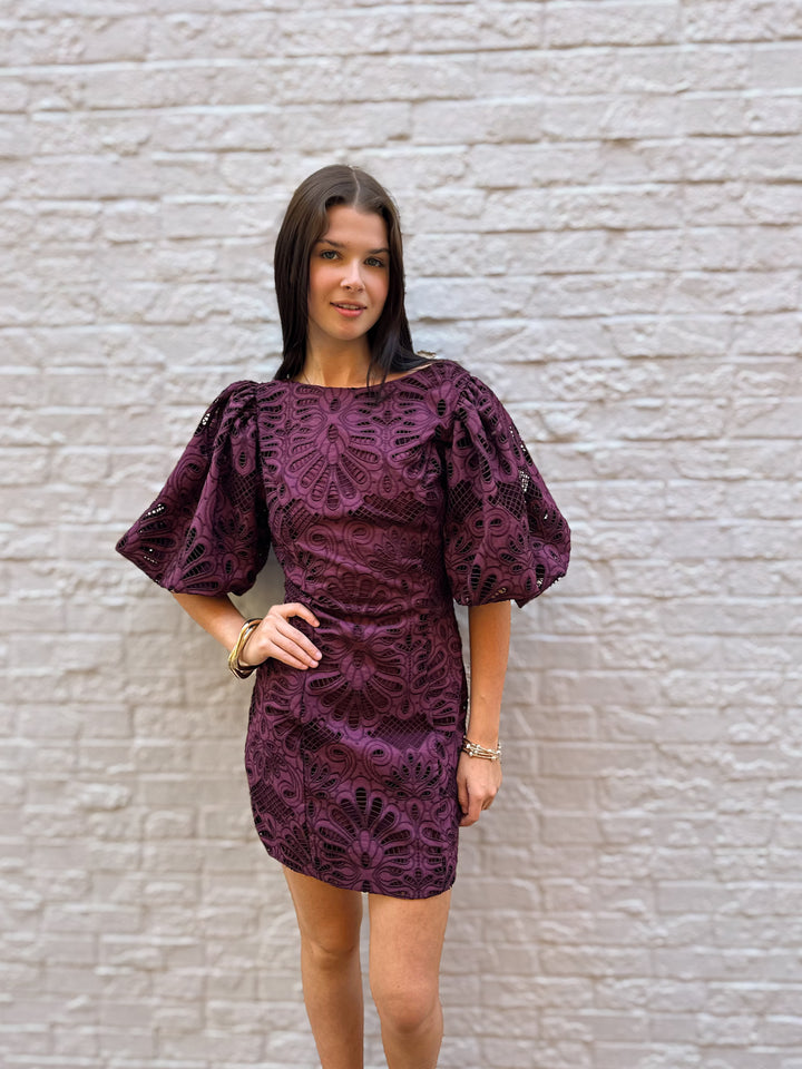 Embroidered Lace Mini Dress