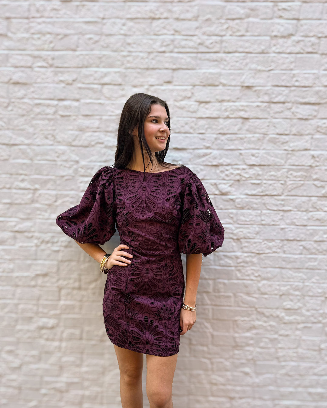 Embroidered Lace Mini Dress