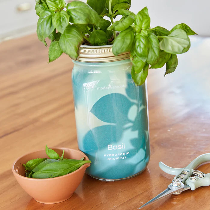 Garden Jars