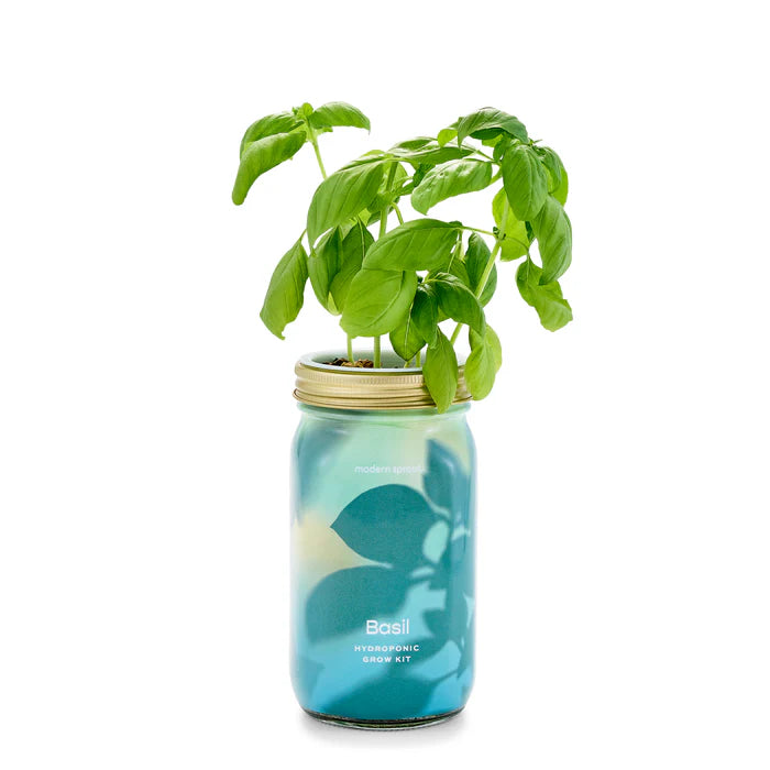 Garden Jars
