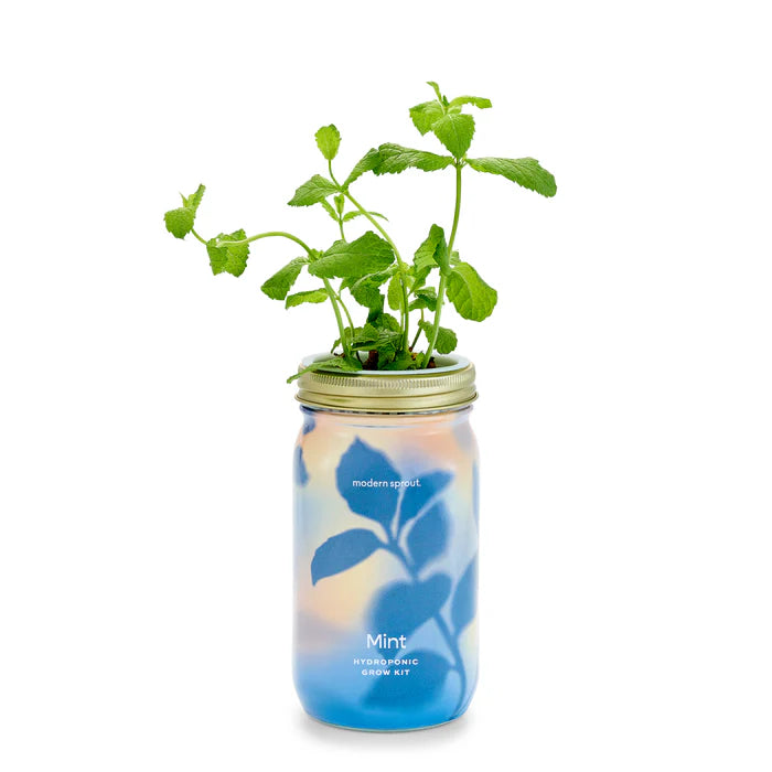 Garden Jars