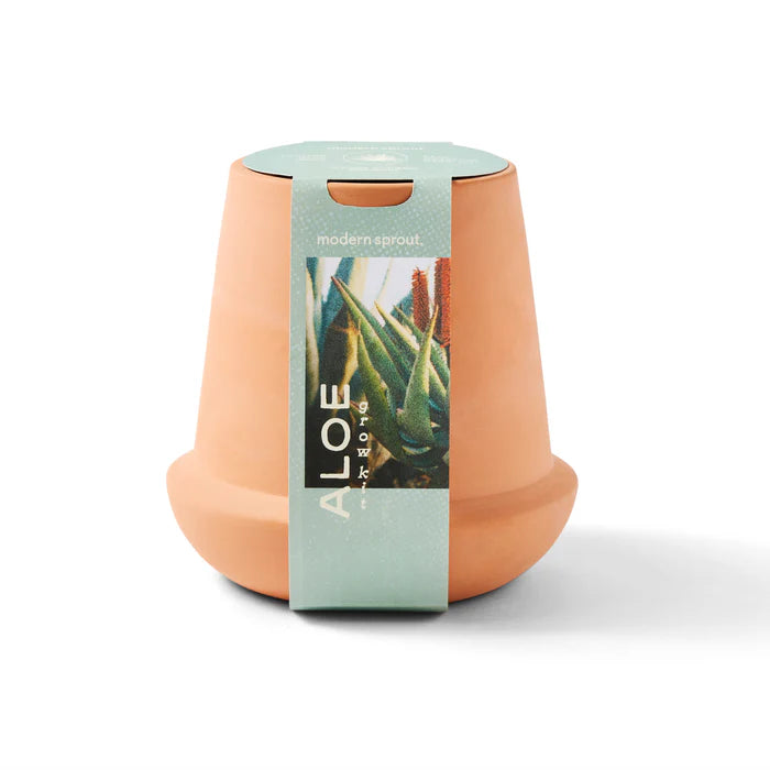 Modern Terracotta Aloe Grow Kit