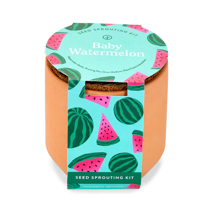 can you plant watermelon seeds in a pot Tiny Terracotta Baby Watermelon Plant Kit – Copper Penny Savannah