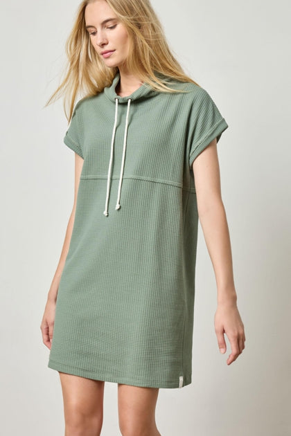 Roll Sleeve Seamed Dress