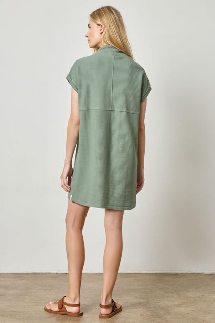 Roll Sleeve Seamed Dress